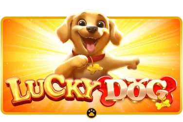 xpoker apk